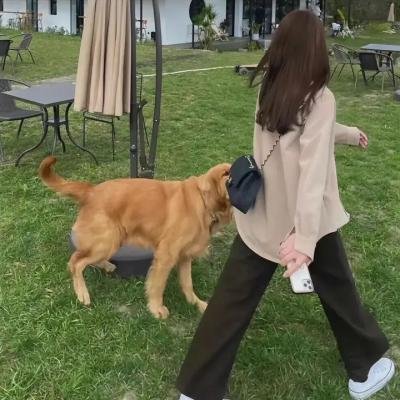 女驸马