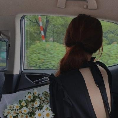 少女情怀尽是诗
